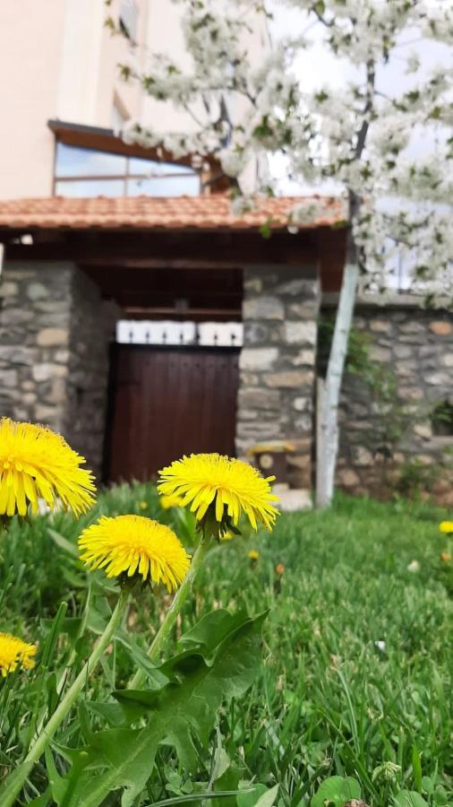 Guesthouse Tershana Peshkopi Eksteriør bilde